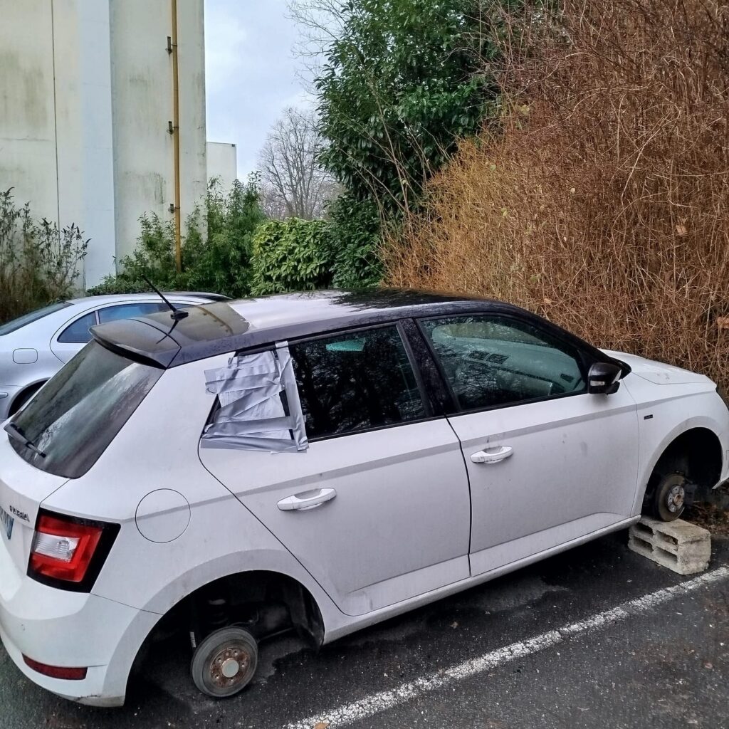 619658897_122277864344207536_5428223299859637500_n